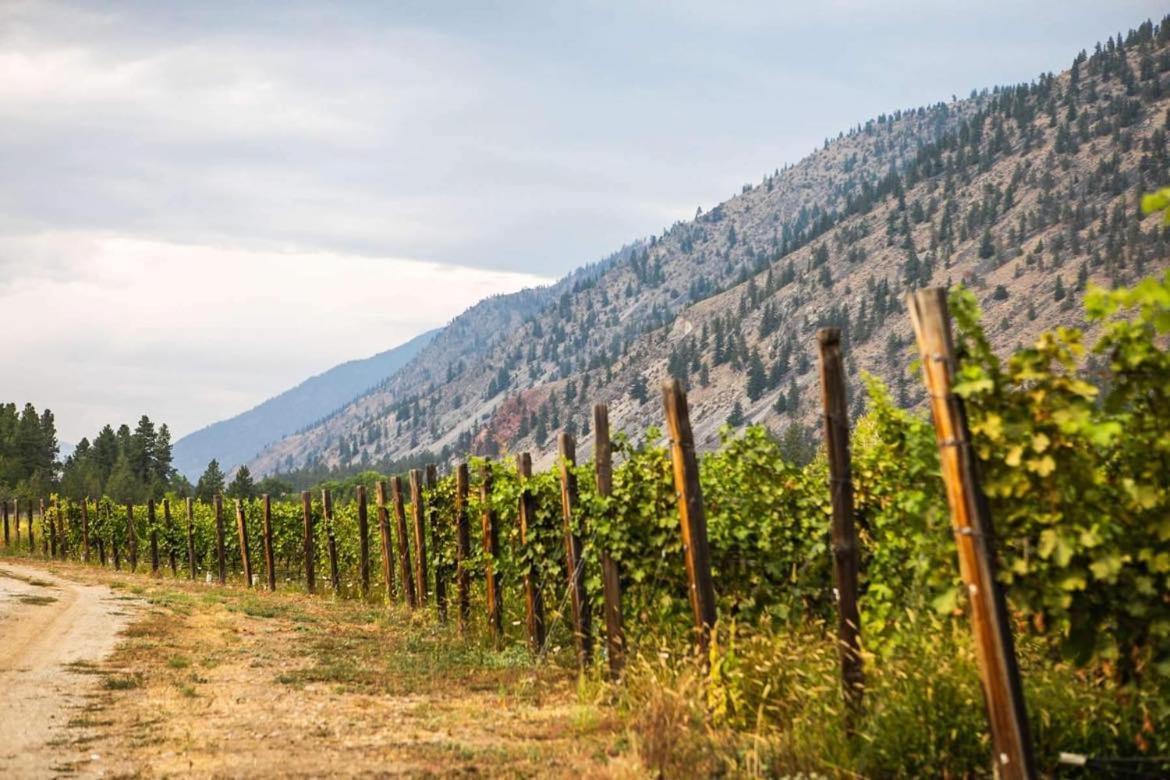 Similkameen Wild Resort & Winery Retreat Осуюс Экстерьер фото